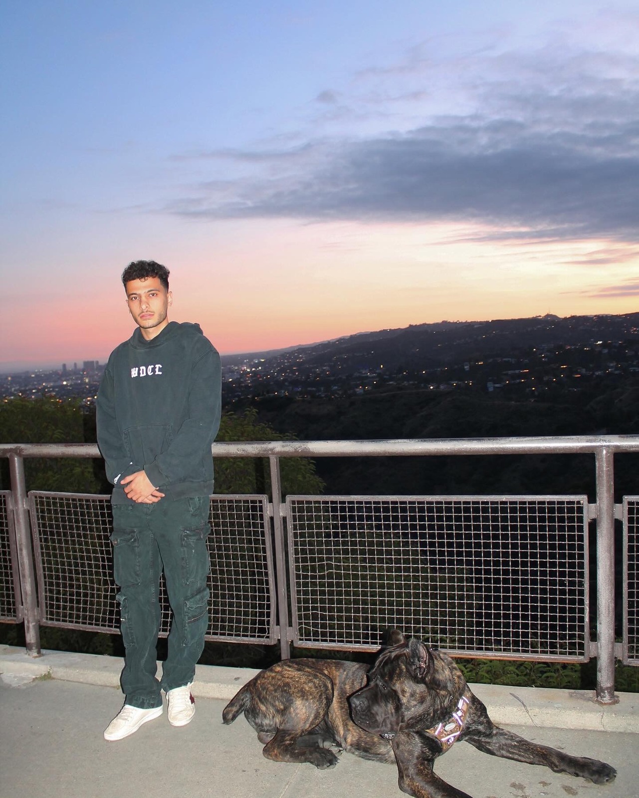 David Sukkar - Owner of Designer Dog Training